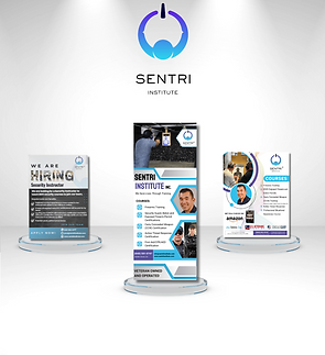spotlight (1).png